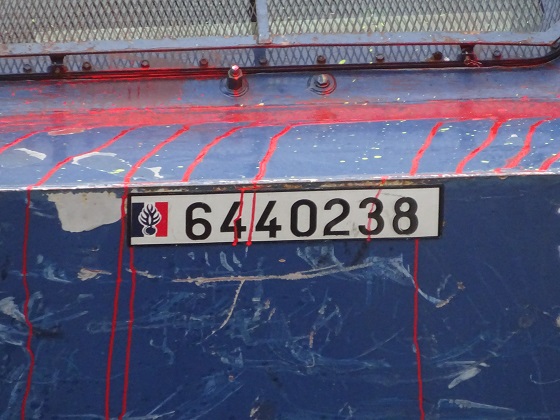 france license plate